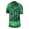 Nigeria Thuisshirt 2022